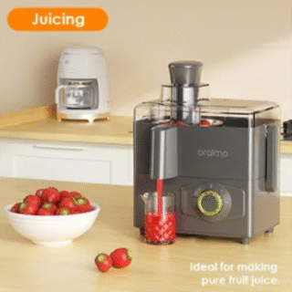OmniBlend Mélangeur 4 en 1